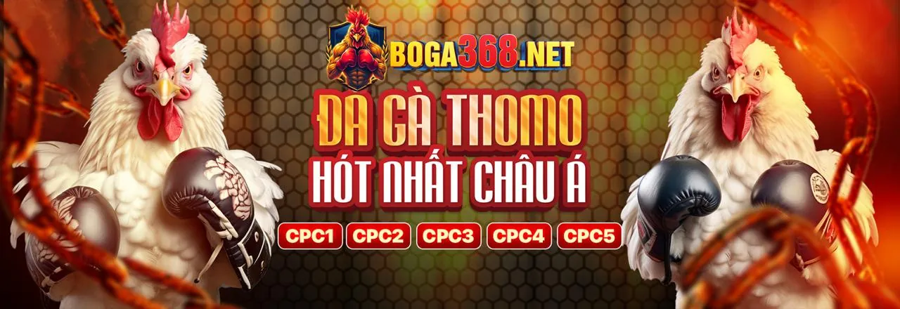 Đá gà kịch tính tại xem kèo bóng 88